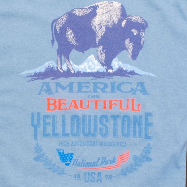 atb-yellowstone-3-buffalo-3-stoneblue-d-70_47779855