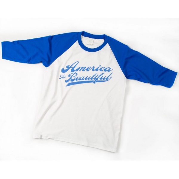 text-baseball-swoosh-blue-0004-b-large_69239940